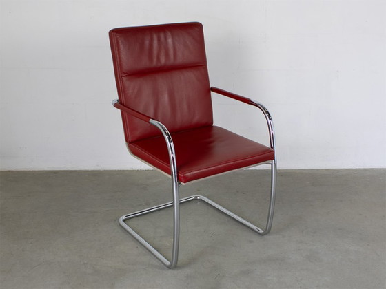 Thonet S61 Sled Chair, Design Glen Oliver Löw – Dining chairs, Leather, Wood (photo 6 of 10)
