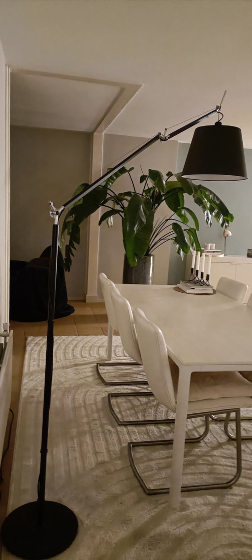 Artemis Ptolemy Mega