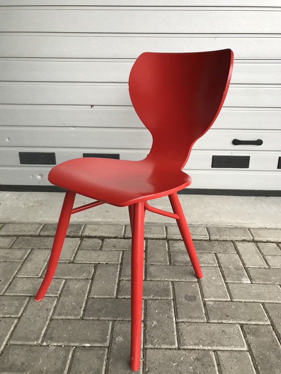 Image 1 of 3x chaises design Linteloo Tulipani