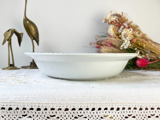 Vintage Franse St Amand Ironstone TRIANON Puttenmotief Diep Bord 19e Eeuw – Servies (photo 7 of 9)