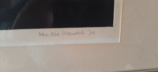 Anneke van der Mandele