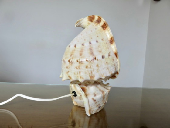"Cassis Cornuta" schelplamp, vintage uit de jaren 70 – Tafellampen, Other (photo 9 of 13)