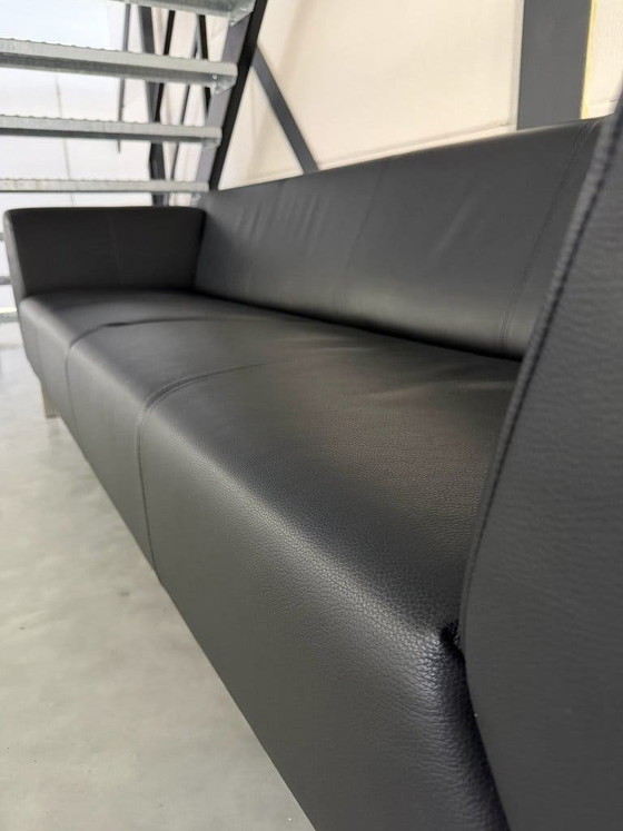 Rolf Benz 318 Linea – Pelle Nera – Condizioni Assolutamente Ottime – Divani 3 posti, polished steel, Leather (photo 7 of 9)