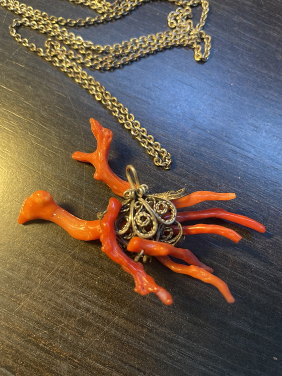 Image 1 of Vermietet mit rotem Korallenstraußen