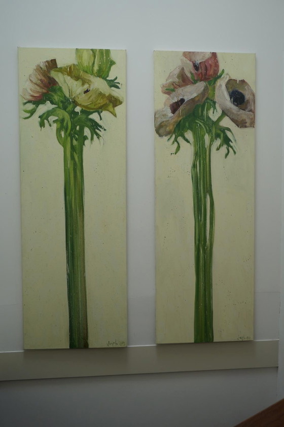 Image 1 of Anémones par Van Der Vegt