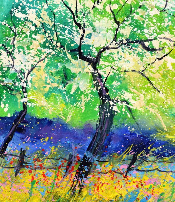 Image 1 of apple tree in blossom