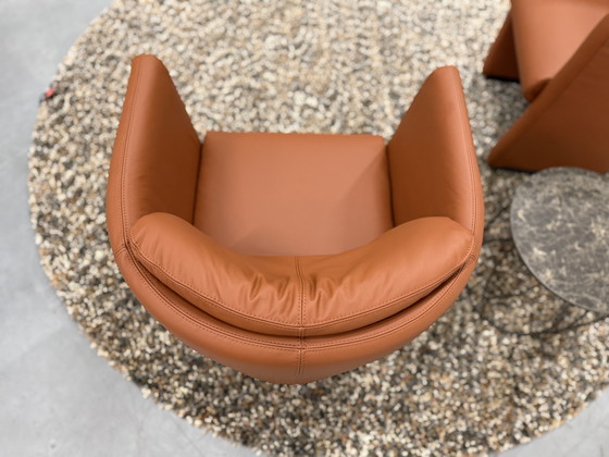 Image 1 of 2 Leolux Suva Fauteuils Wapiti Hawk leer 