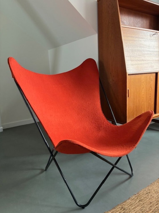 Image 1 of Fauteuil papillon Knoll / Anniversaire – Jorge Ferrari Hardoy (1938) – acier noir / feutre orange