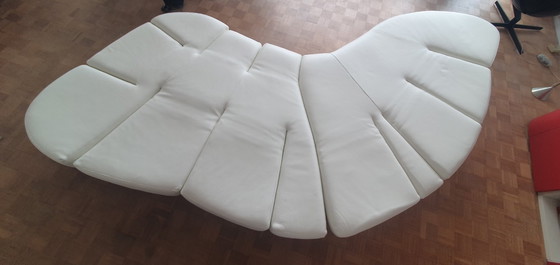 Image 1 of Flap - Edra