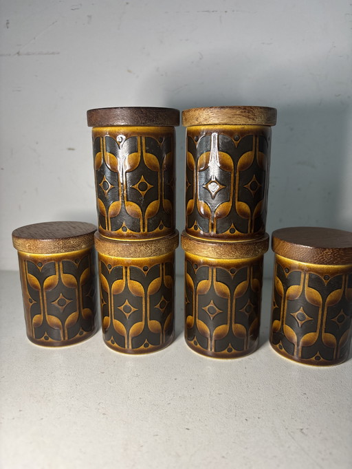 6x spice jar vintage 1973 Hornsea Heirloom England