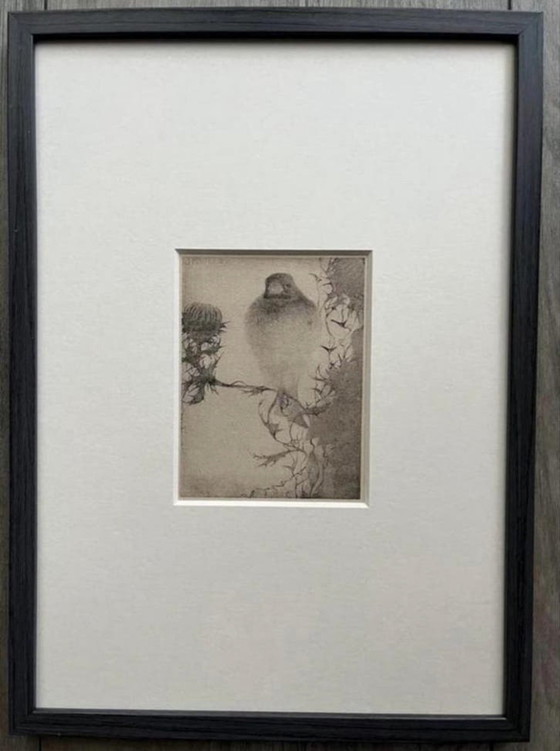 Image 1 of Jan Mankes 1889-1920 / Heliograbado original Jilguero en rama 1923