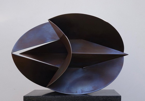RVS Sculptuur, Beeldhouwkunst, Roestvrij staal (foto 2 van 6)