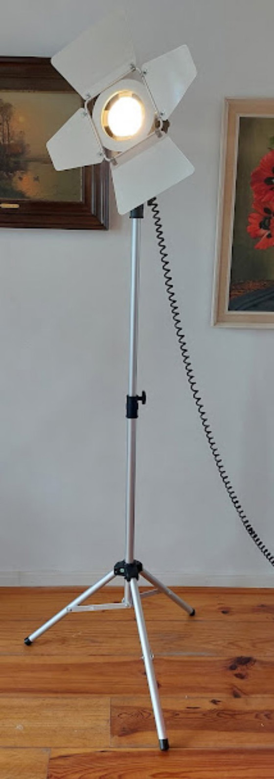 Image 1 of Lampada da terra
