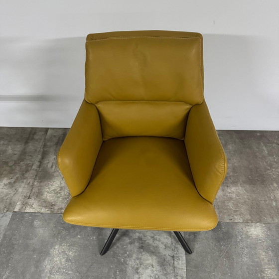 Image 1 of Roos  Set van 6