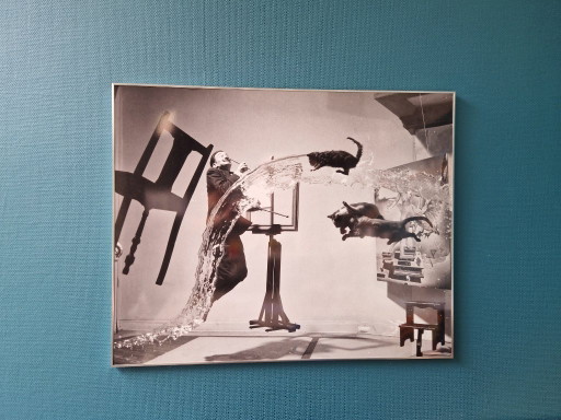 "Dalí Atomicus" ingelijst kunstwerk