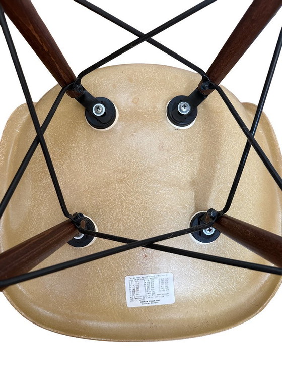 Set di 6 sedie Eames DSW — Herman Miller, scocche originali 1956–1959 – Sedie da pranzo (photo 8 of 10)