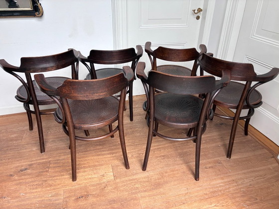 6x Poltrone stile Thonet – Legno (photo 7 of 18)