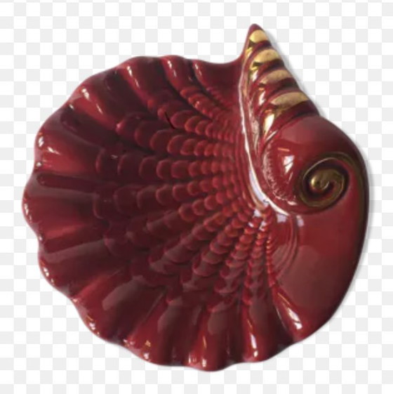 Image 1 of Vide Poche Coquillage Vintage