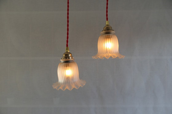 Image 1 of Sfeervol tulpvormig hanglampje