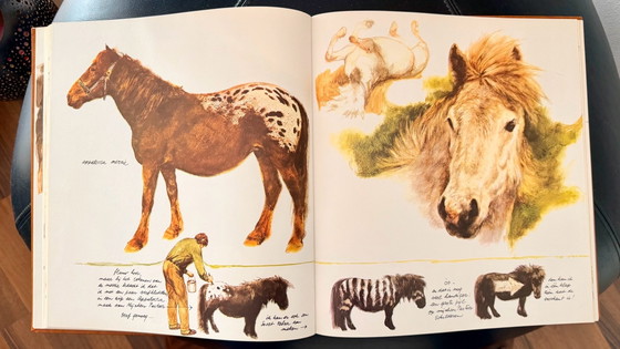 Libro Het Brieschend Paard di Rien Poortvliet del 1978, Libri d'arte, Carta, Marrone (foto 5 di 15)