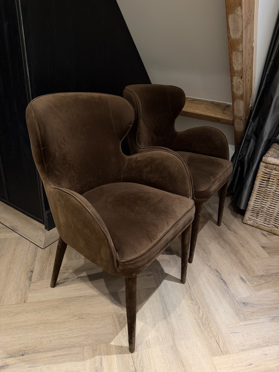 Set of 2 Brown Dining chairs – Velour – Velvet (photo 3 of 6)