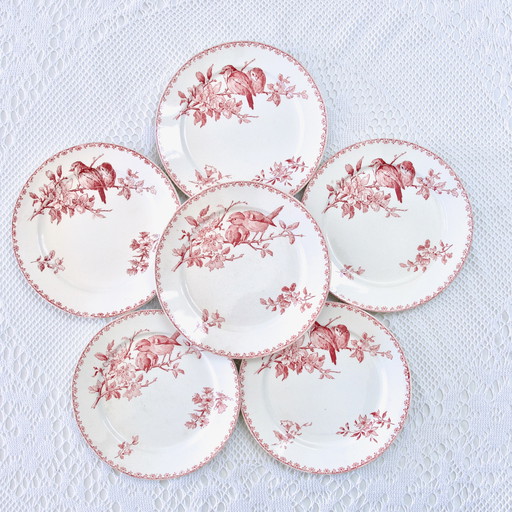 Assiettes Plates Xixe Sarreguemines "Favori" Terre De Fer Rose / Rouge