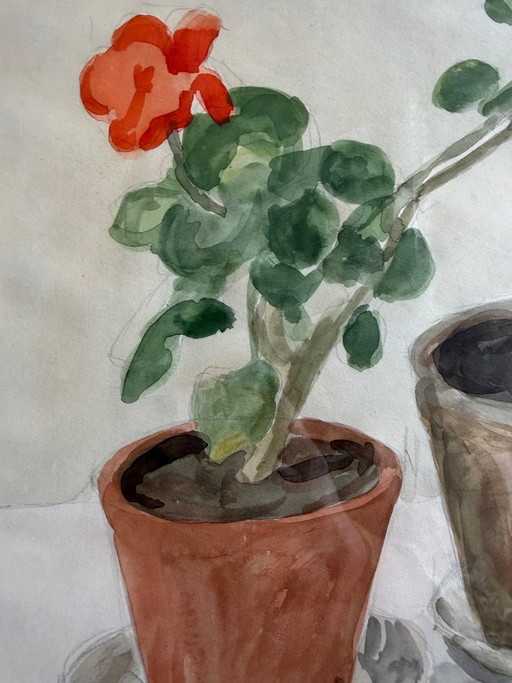 Geranium – schilderijen tekeningen, Glass, Paper (photo 2 of 5)