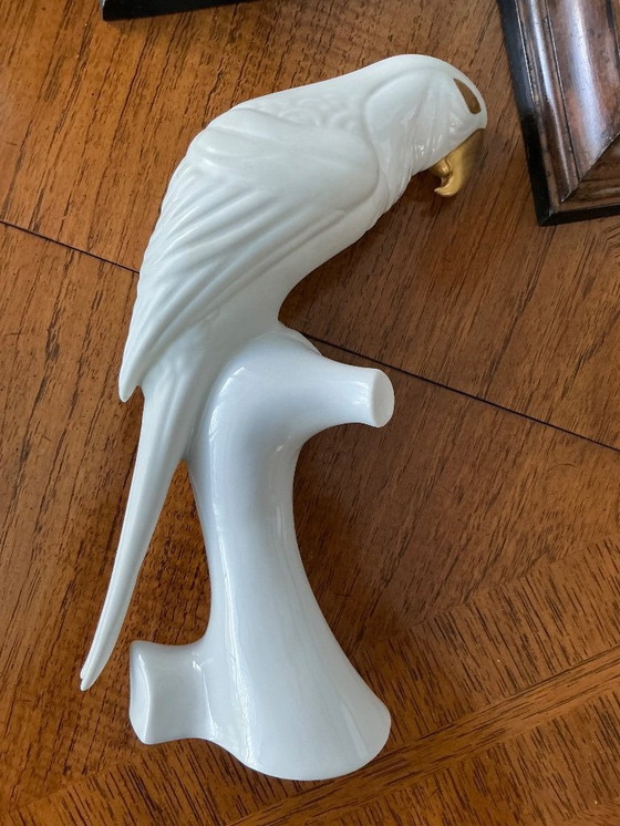 Image 1 of Royal-Dux papagaai 🦜 3 