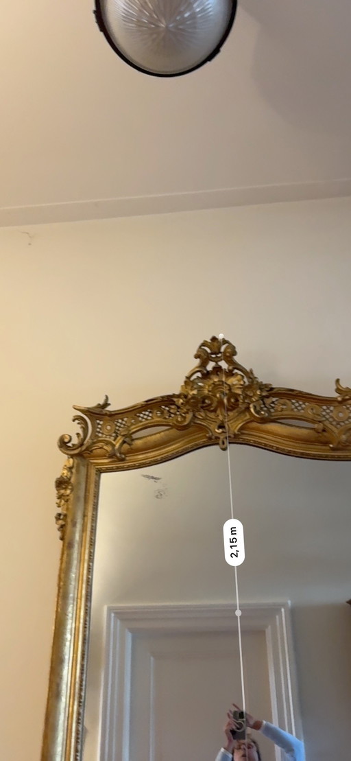 Antique 19th Century Mirror (France), Gold Leaf Gilded Frame