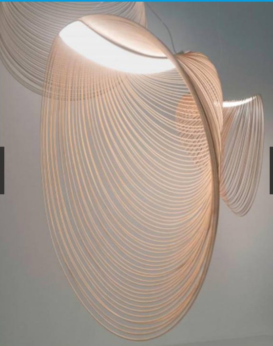 Image 1 of Luceplan houten designlamp LED 60 kopen