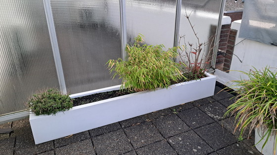 Image 1 of 2 fioriere Ibiza