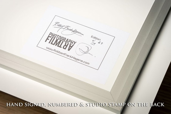 Image 1 of Herman Brood 1981 | Dibond met Plexiglas 4/25