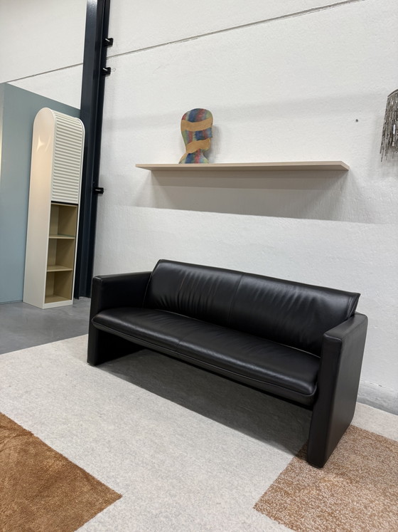 Divano Leolux Fiabo 2,5 posti in pelle nera – Divani 2 posti, Leather (photo 8 of 8)