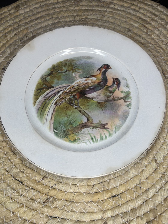 Image 1 of Antiek fazantenbord – Société Céramique Maestricht ca. 1900