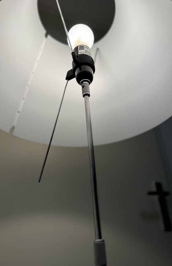 Image 1 of Luce Plan Paulo Rizzatto Vloerlamp