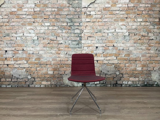 Image 1 of Viccarbe Klip