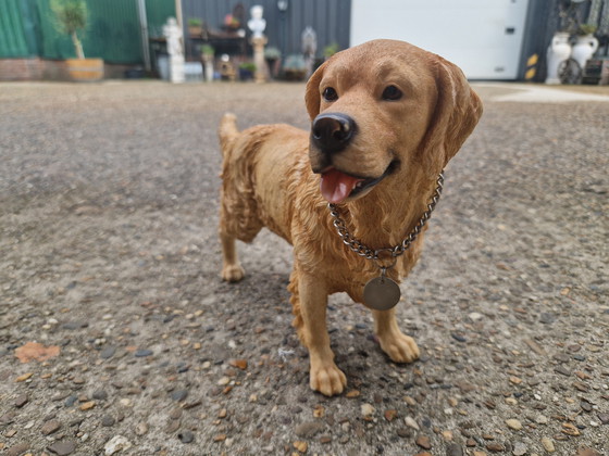 Image 1 of Magnifique golden retriever en polystone