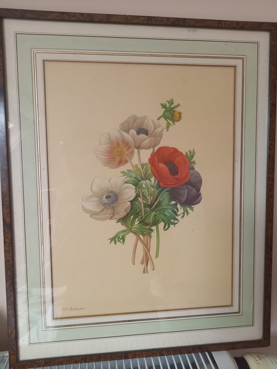 Magnifique cadre avec une œuvre de Redoute – PJ Redoute, Tirages d'art, Glass, Paper (photo 5 of 8)