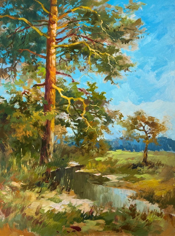 Image 1 of Original Oil Painting Day Forest Landscape Whisper of forest and water