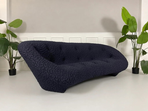 Ligne Roset Ploum Designer Sofa Blau Stoff
