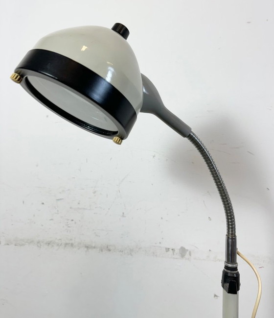 Image 1 of Vintage Medical Gooseneck Floor Lamp from Famed, 1970s