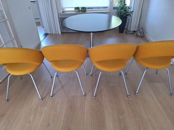 Image 1 of 4 Nina dining chairs Artifort, price is per piece