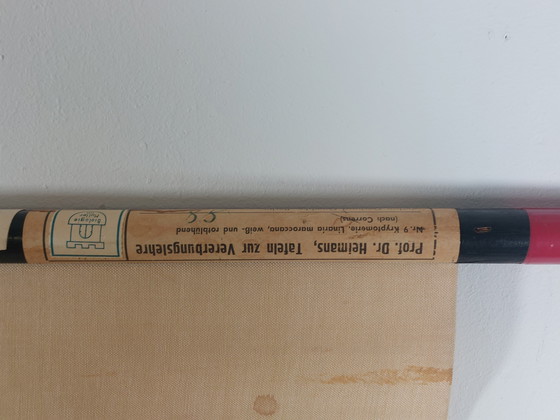 Image 1 of Vintage linen roll-up map, teaching aid for biology, cryptomeria, heredity