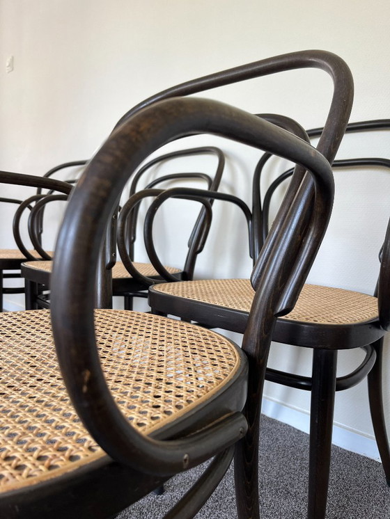 Image 1 of 6x Thonet 214f ​​​​​​Stoelen