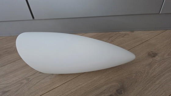 Image 1 of Lampada da parete Flos Lucie Fair di Philippe Starck