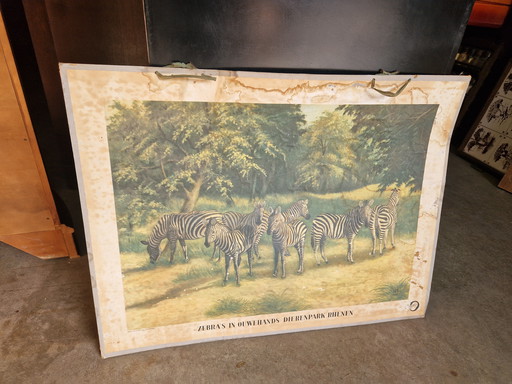 Old school poster Rhenen zoo