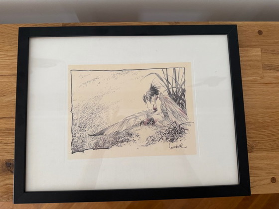 Régis Loisel – Tinkerbell – ingelijste illustratie 43 × 33 cm – Kunst, Glass, Paper (photo 3 of 5)