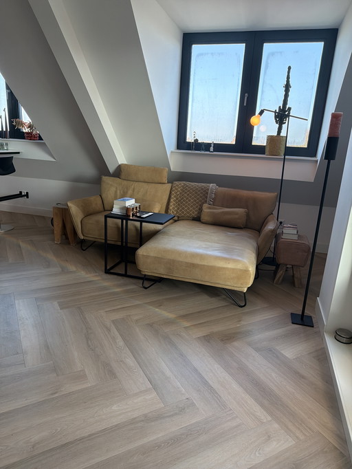 BANK, capo TOGO NUT!