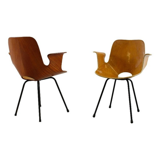 Image 1 of sedia con braccioli in legno curvato di faggio "medea" di vittorio nobili per fratelli tagliabue, italia, 1956