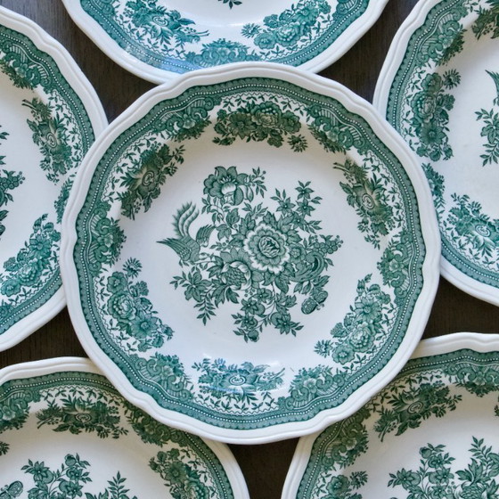 Image 1 of Villeroy & Boch "Fasan" green glass-ceramic plates
